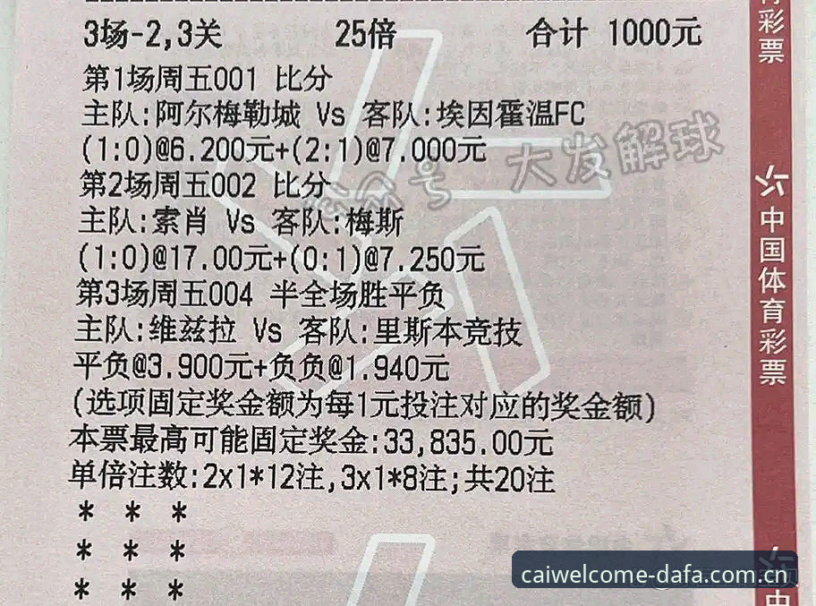 大发彩票平台登录入口2025新版详解